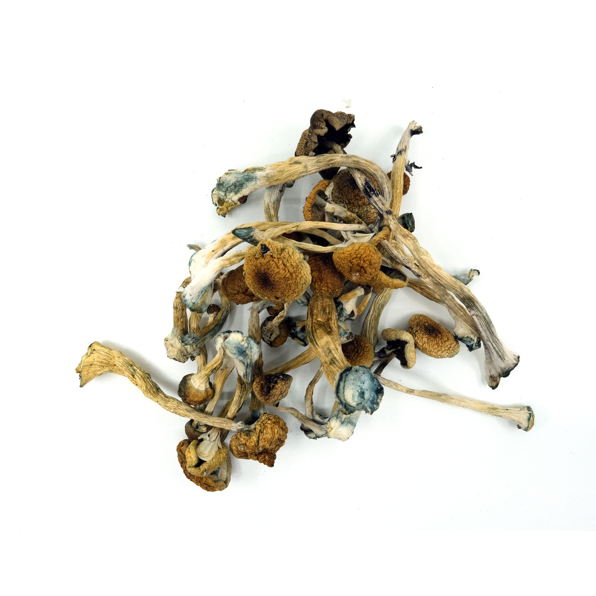 Shrooms